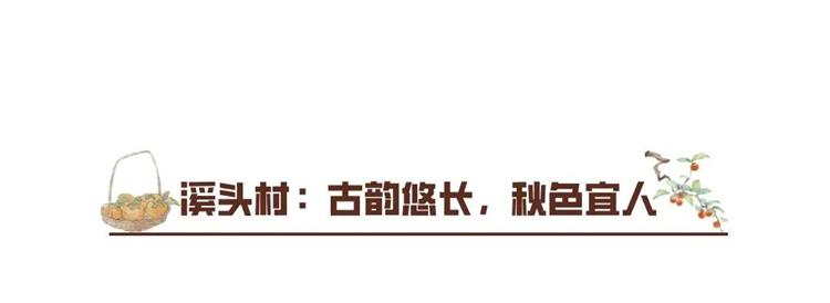 2023年新澳门开彩记录